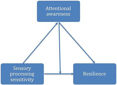 Exploring Protective Factors in Wellbeing: How Sensory Processing Sensitivity and Attention Awareness Interact With Resilience